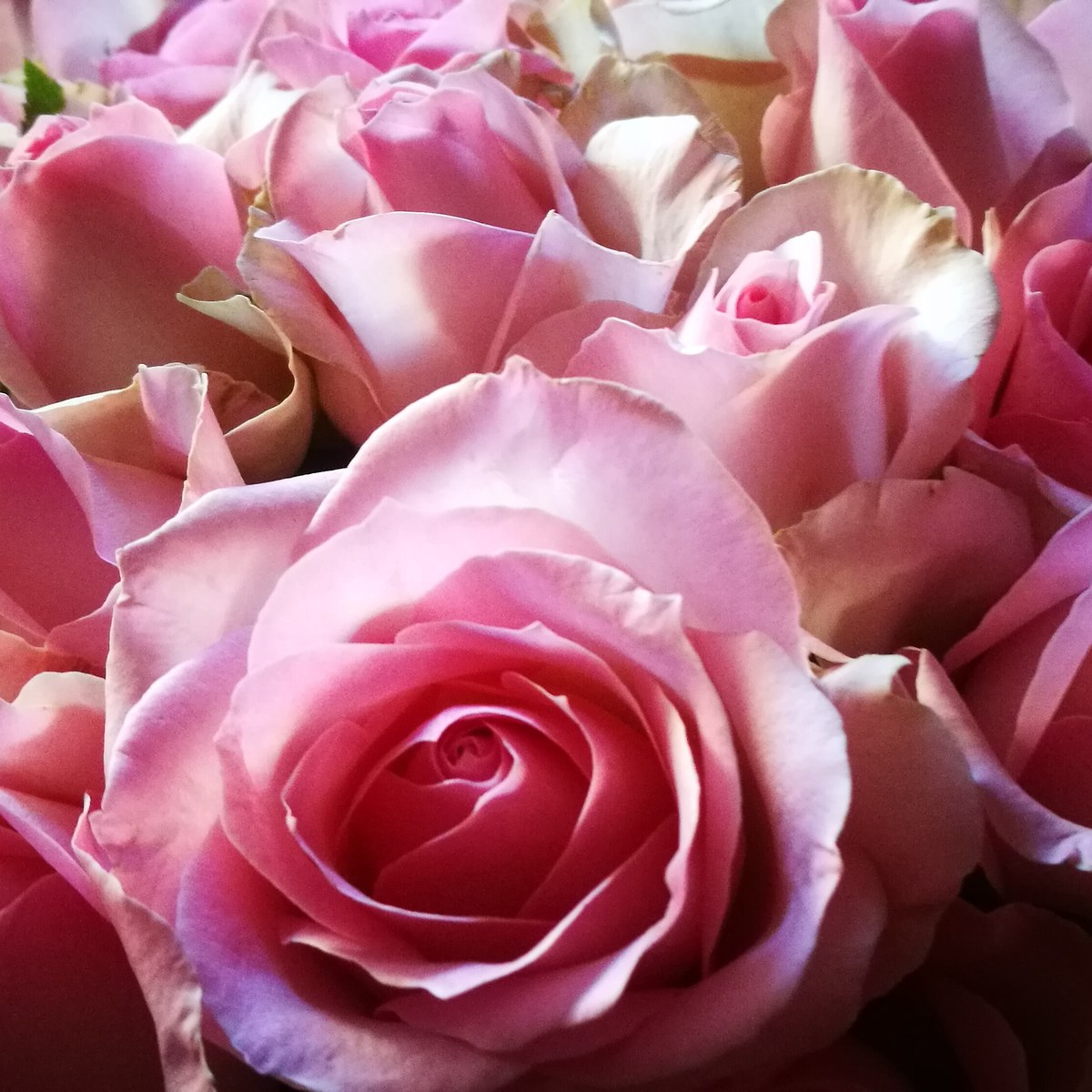 DIVERS10 | Aux fleurs de Nice Votre artisan fleuriste disponible pour tous vos grands événements Sélestat