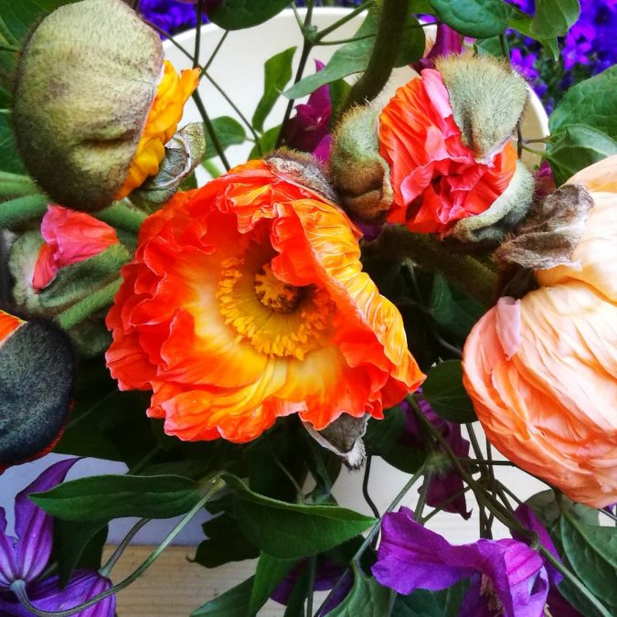 Evenements Rixheim 20
