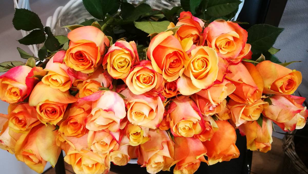 IMG_20190527_1952541 | Aux fleurs de Nice Photos page d’accueil Illzach 5