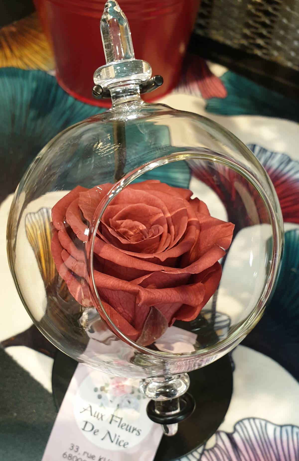 20200901_193121 | Aux fleurs de Nice Photos page d’accueil Kingersheim 10