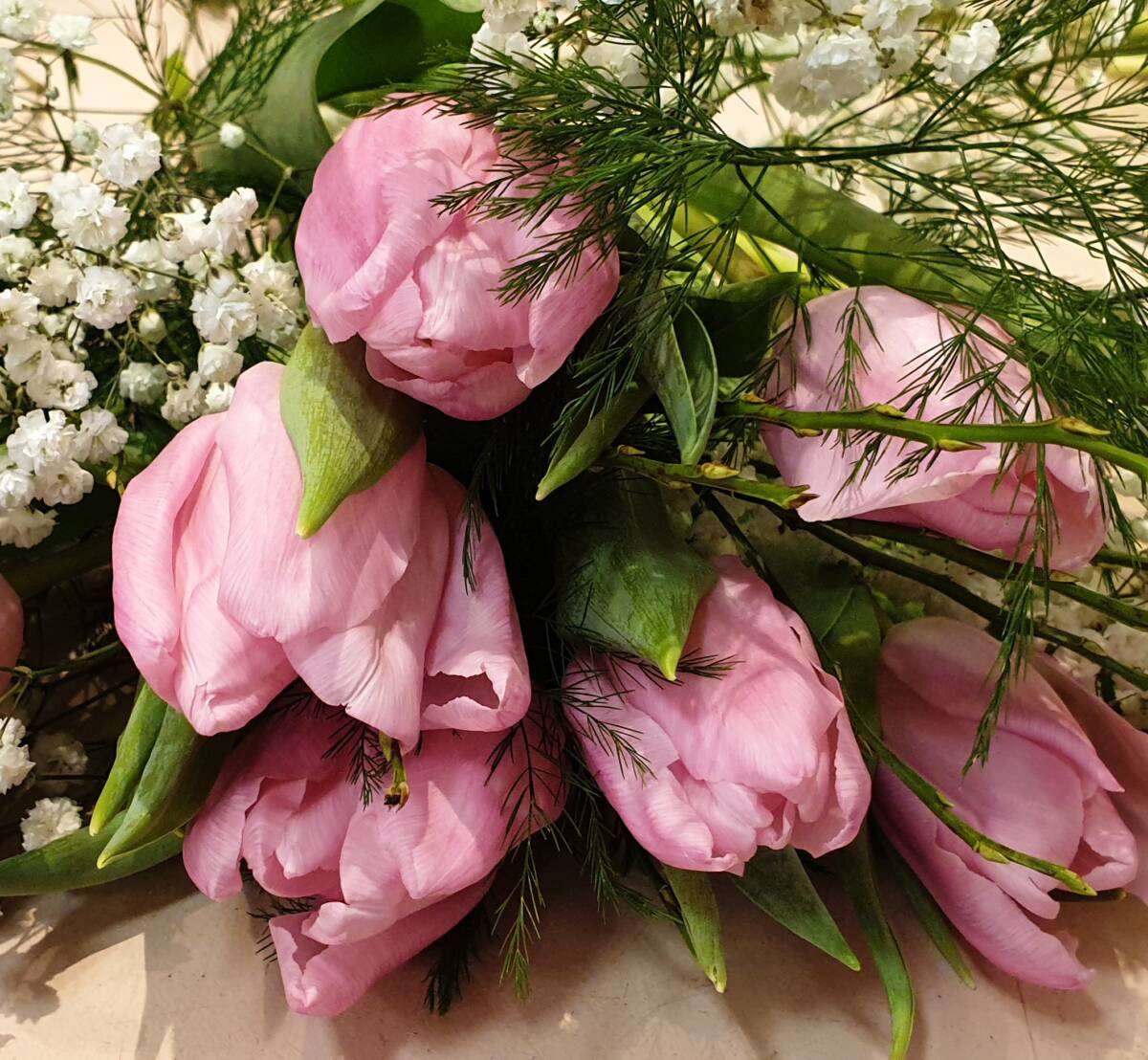 20211230_1355241 | Aux fleurs de Nice Photos page d’accueil Wittenheim 8