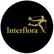 INTERFLORA REMOVEBG PREVIEW 1 | Aux fleurs de Nice Votre artisan fleuriste et créateur à Colmar ouvert 6 jours sur 7 Kingersheim 6